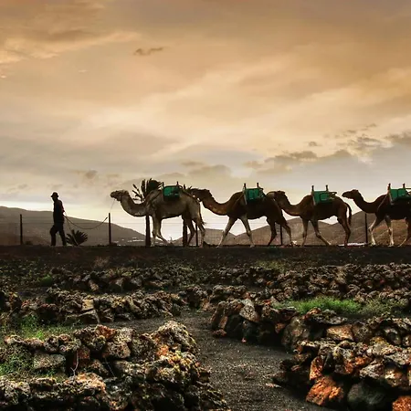 公寓 Home2book Charming