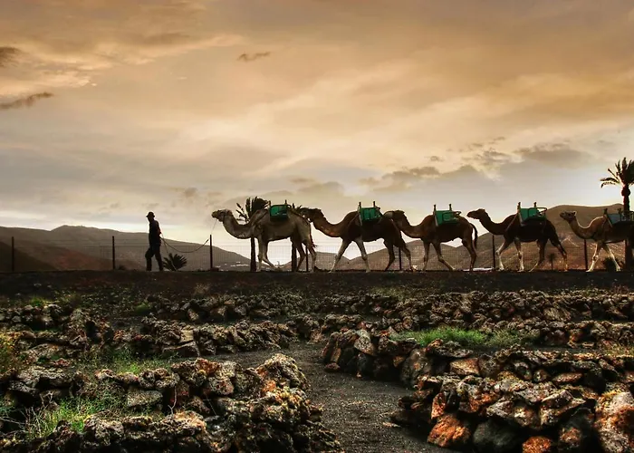 Apartmán Home2book Charming