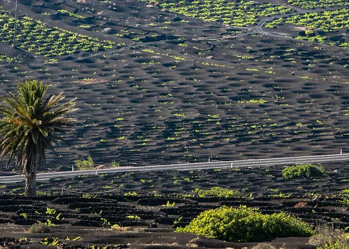 Home2book Charming * Caleta de Caballo